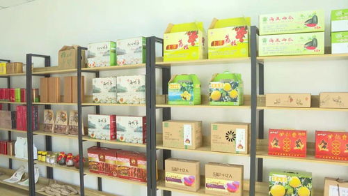 東水村建電商服務站 陽西山旮旯里的農產品插上云翅膀，開辟印刷品裝訂服務新渠道